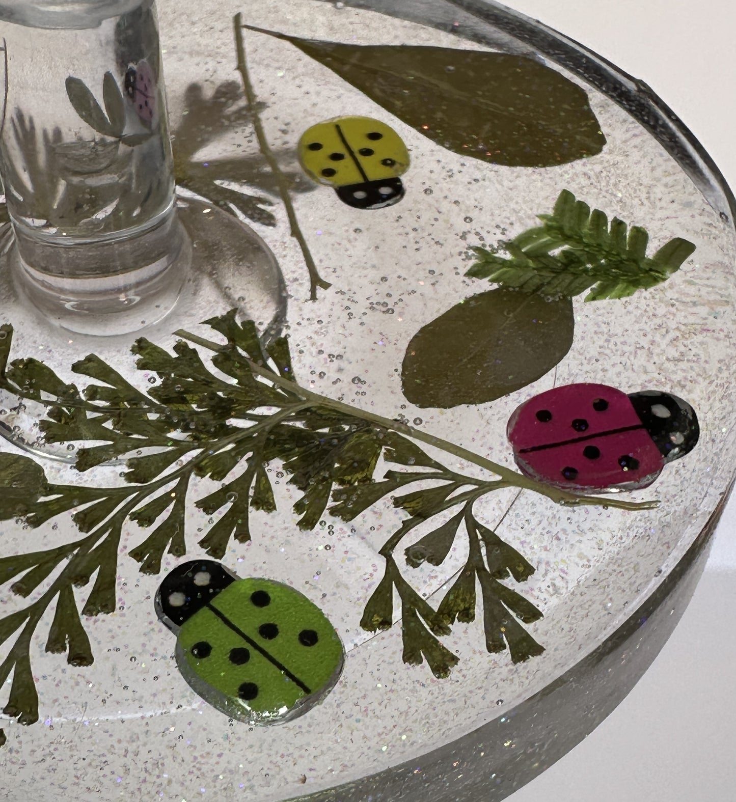 0027 Water glass lady bugs