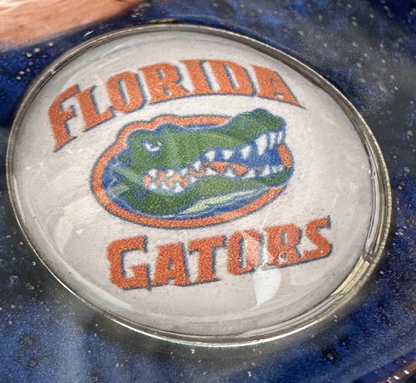 0061 Beer pilsner Florida gators